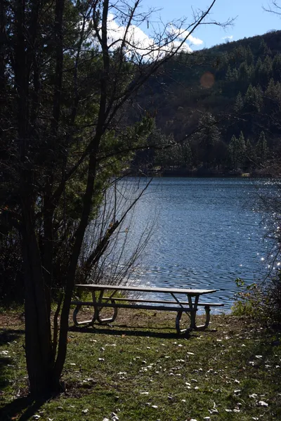 DSC_1152 (Large).JPG